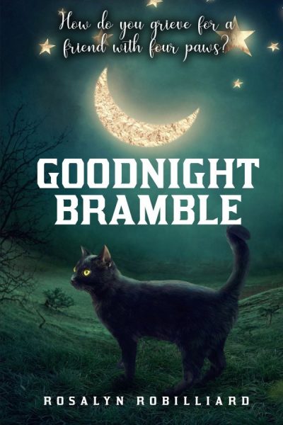 Goodnight Bramble (front cover)