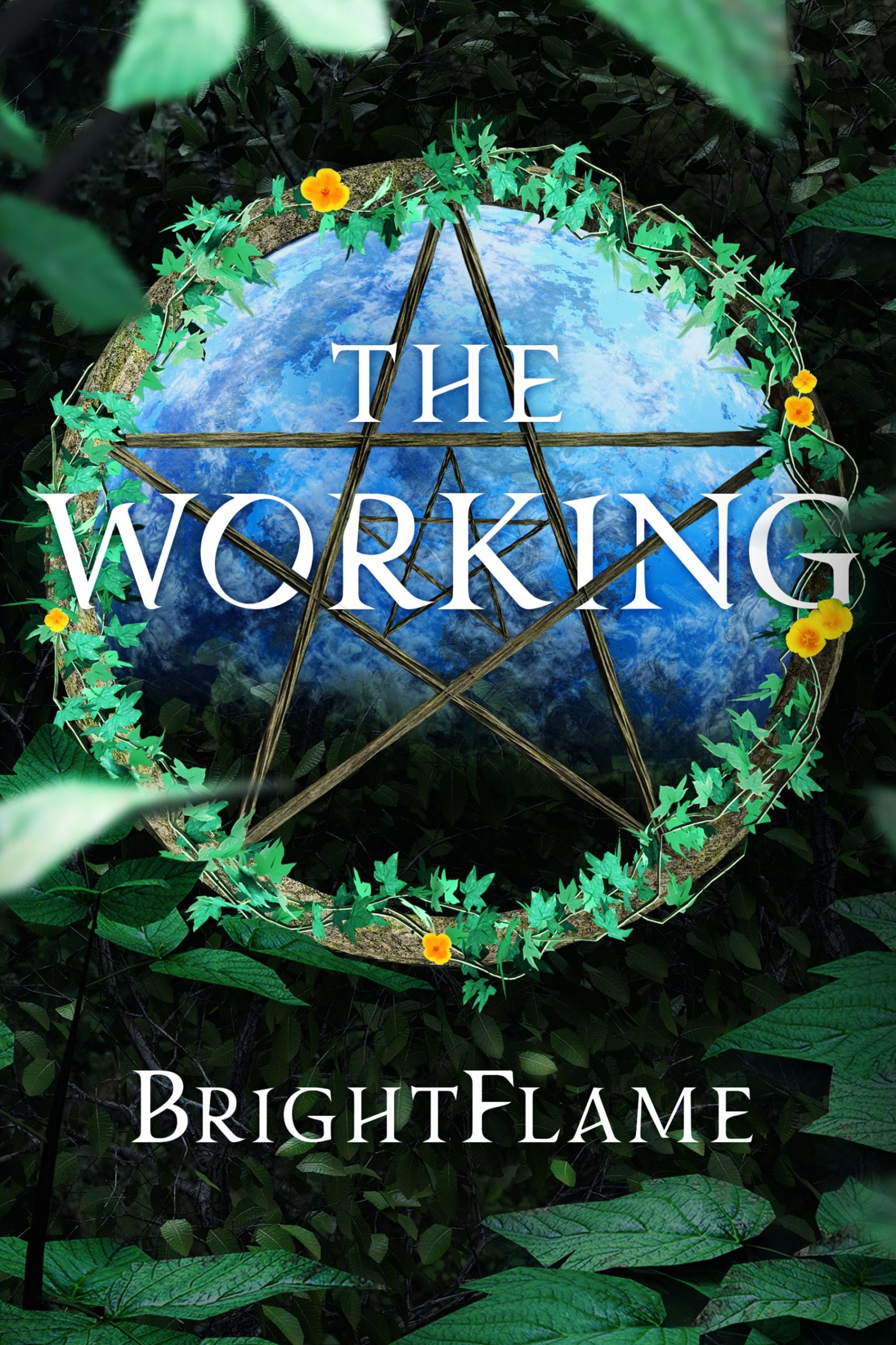The Working (front cover)